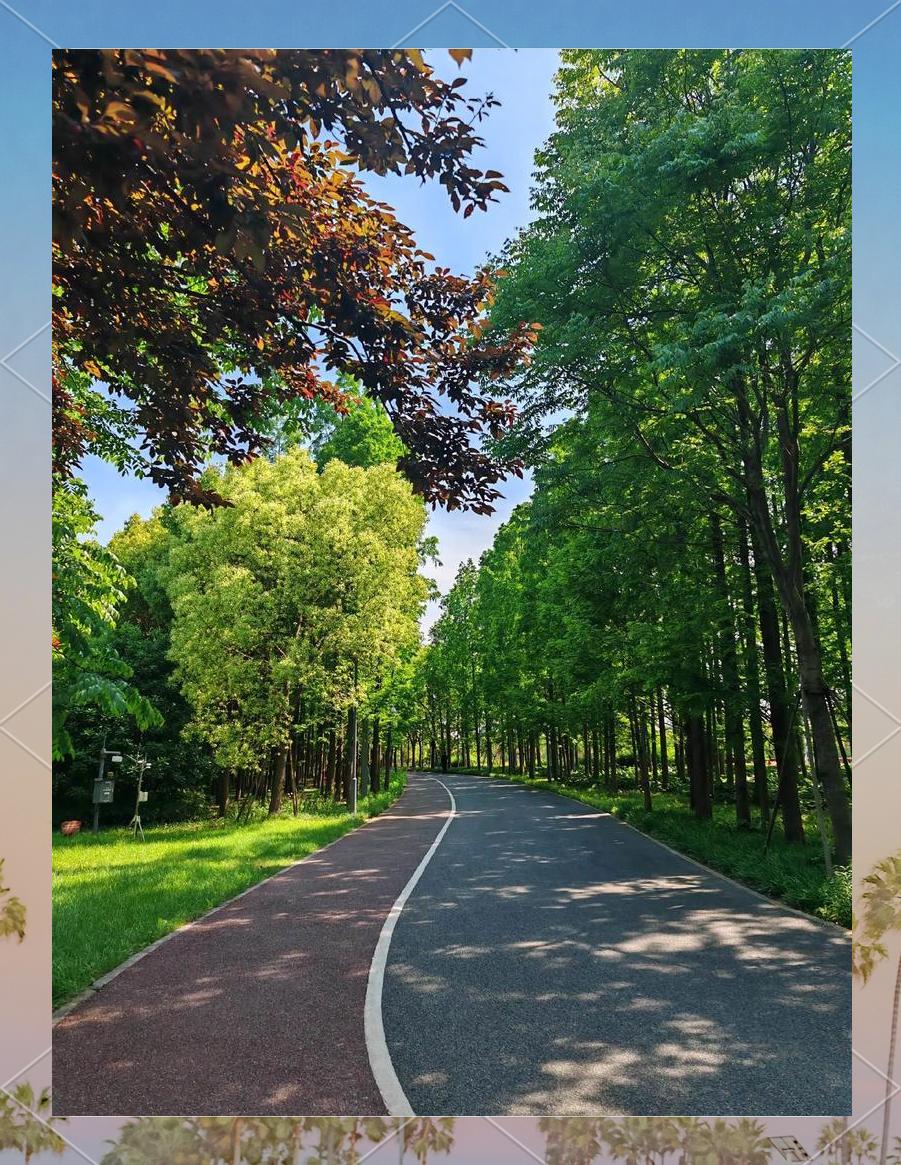 特色绿道跑,城市中的绿色运动之旅的简单介绍 特色绿道跑,城市中的绿色运动之旅的简单介绍