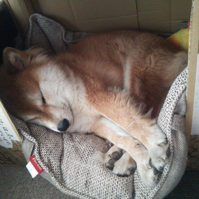 _勇士出手如神,迎来一波胜利潮_,勇士出击美国大片