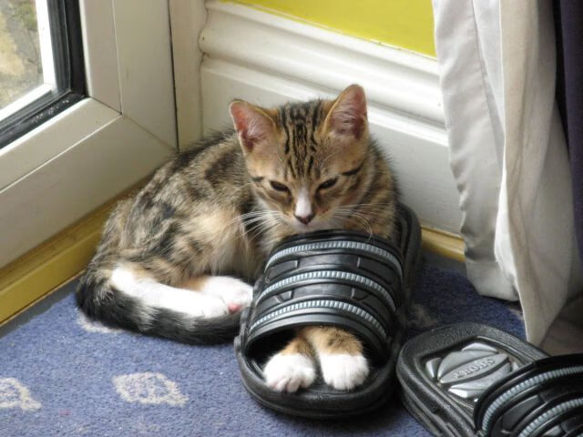 爱游戏体育官方网站-_马刺老将发威，精彩对抗未落下风_，马刺老大