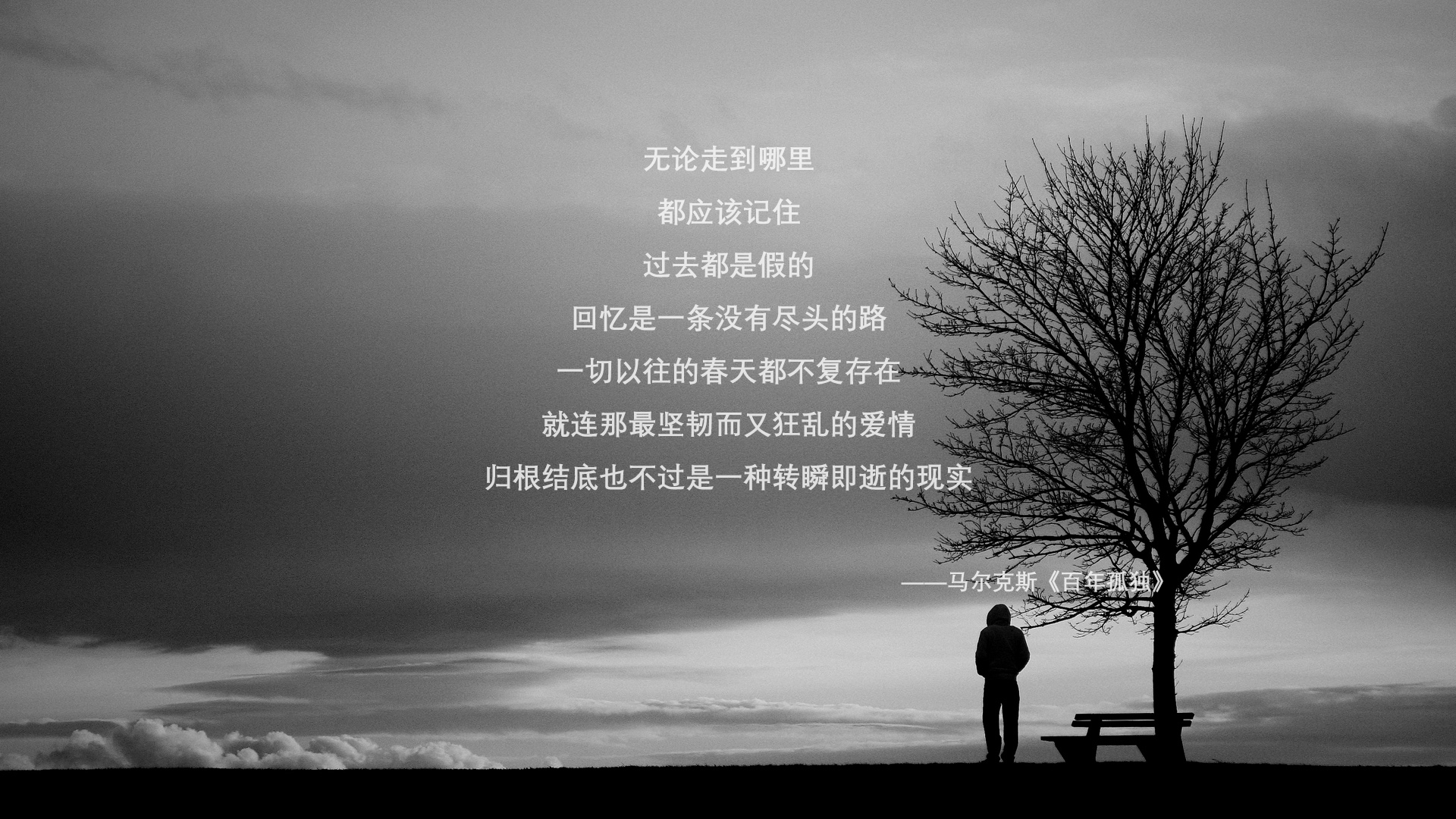 塞内加尔骑手马马杜·巴在非洲马术锦标赛后宣布退役，结束辉煌的职业生涯。