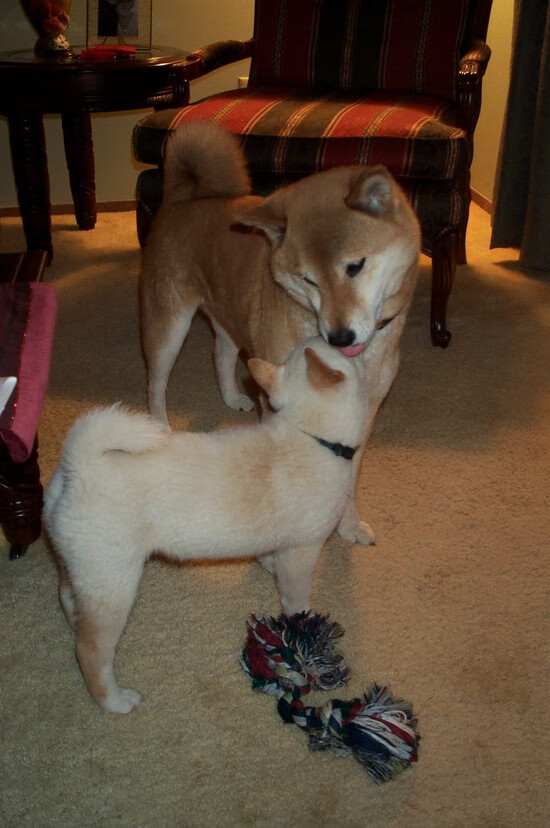 AYX官网-沙滩冲浪赛，海浪上的青春燃烧，海浪冲击沙滩