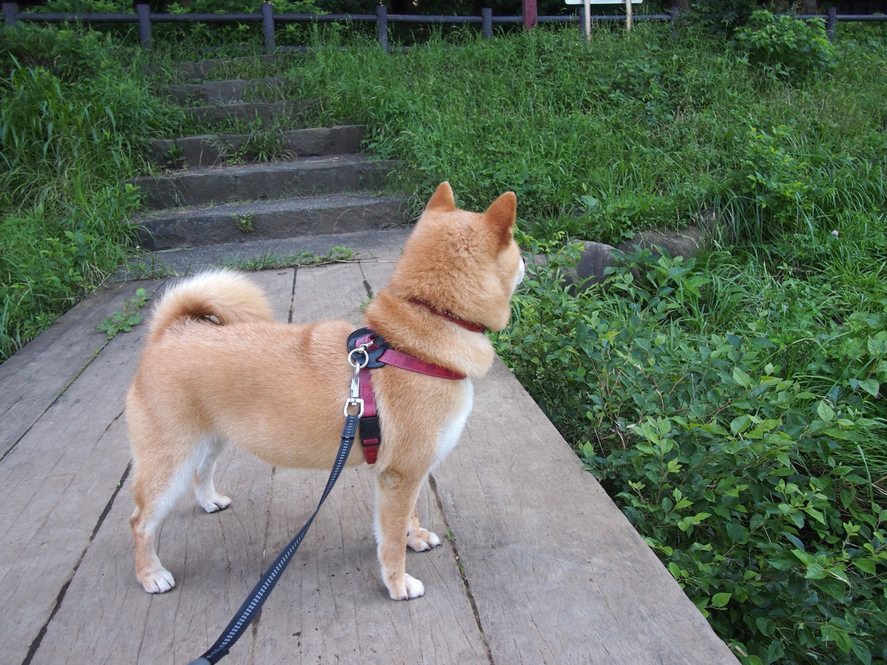 现场直击：台球赛场的激烈拉锯战，台球拉球教学视频教程