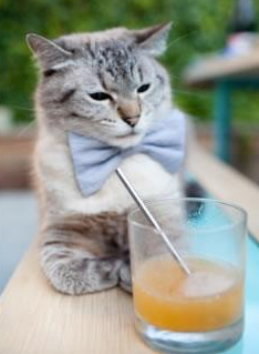 英超教练深度分析，战术变革如何激活球队整体表现，英超 教练