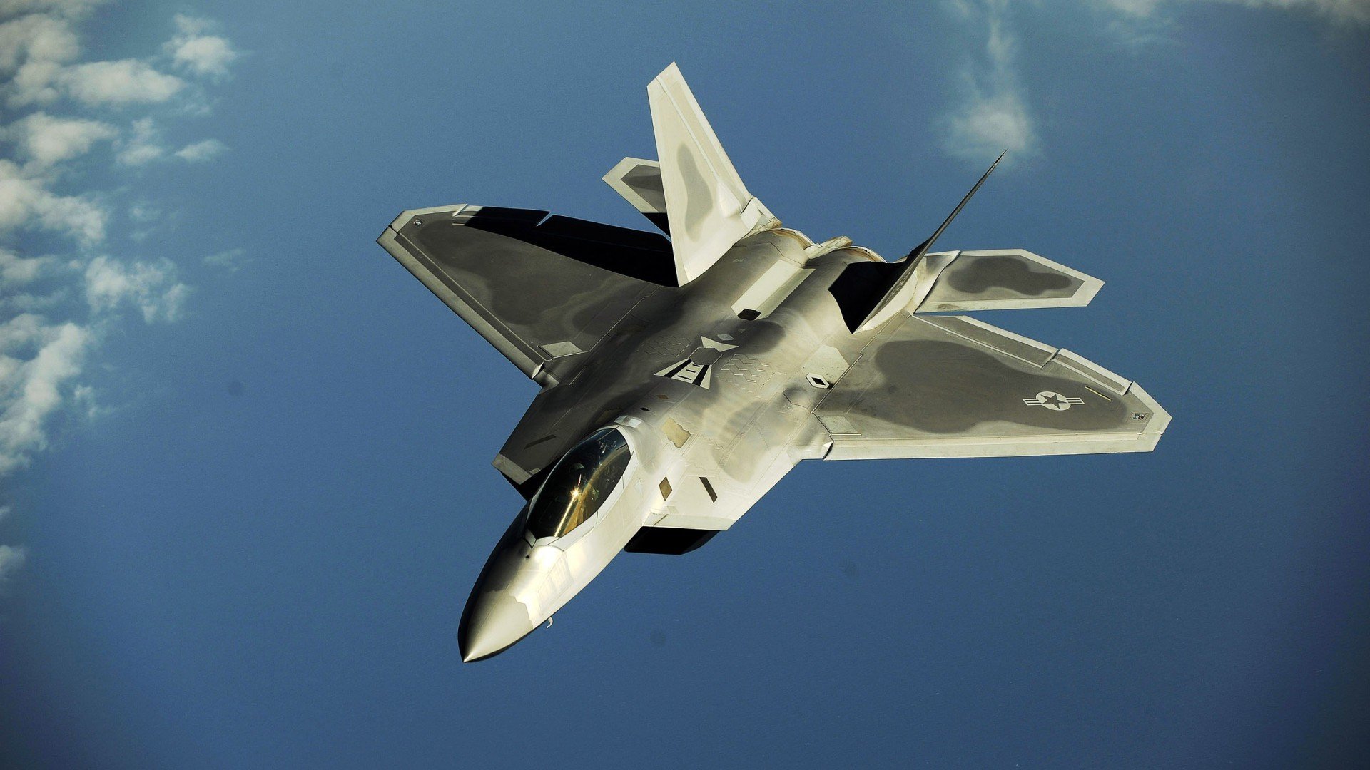 赛场外：粉丝的爱情故事与支持力量，赛场之外的精彩作文