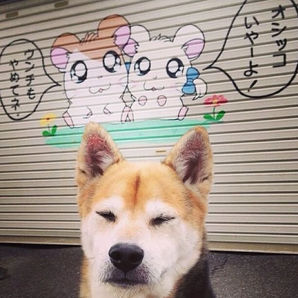 赛场外:车手的体能训练秘籍,车手体重对赛车的影响