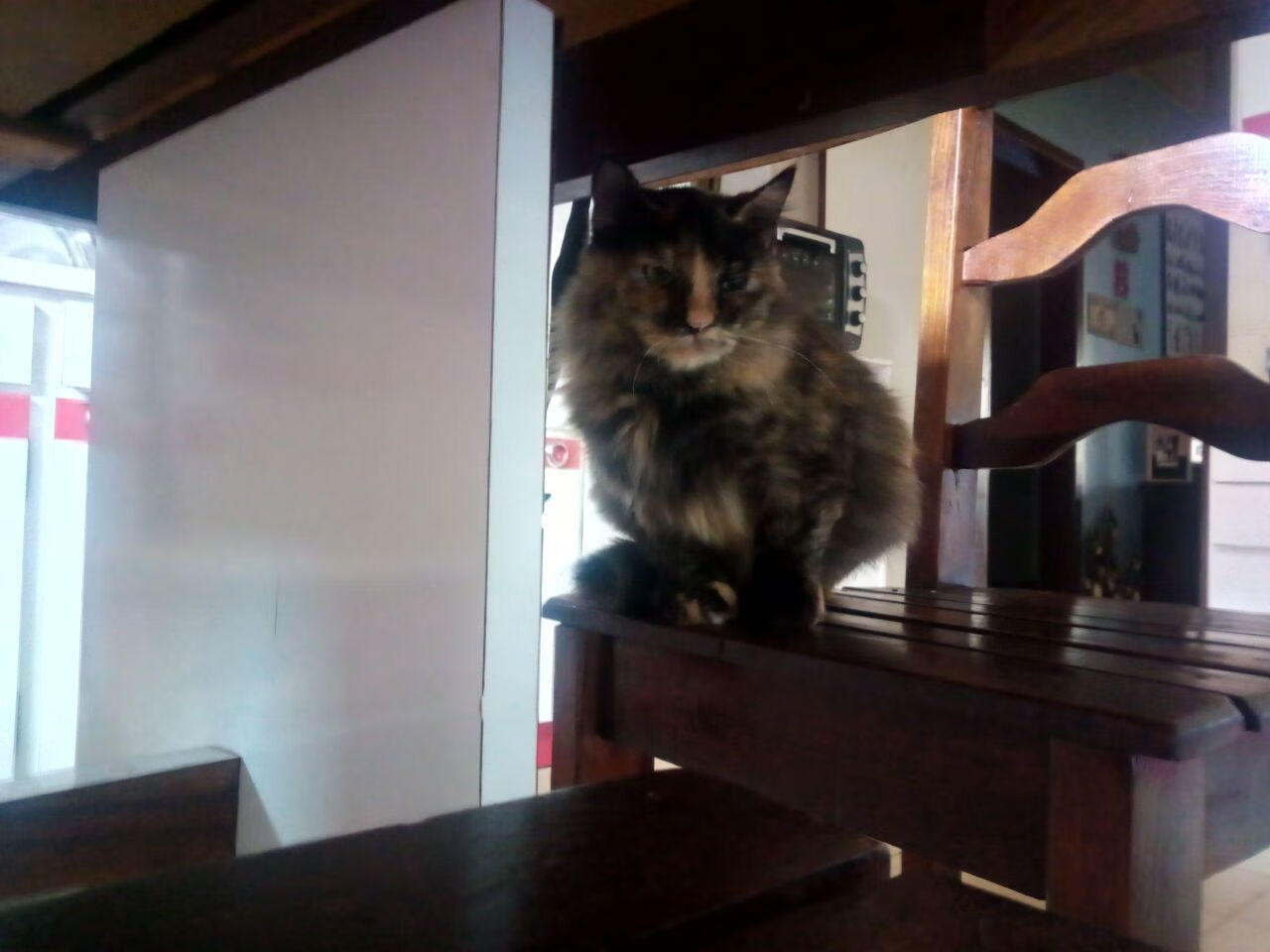 AYX体育官网-赛场激烈冲刺，车手如何抓住最后一刻，赛场激烈冲刺,车手如何抓住最后一刻的机会