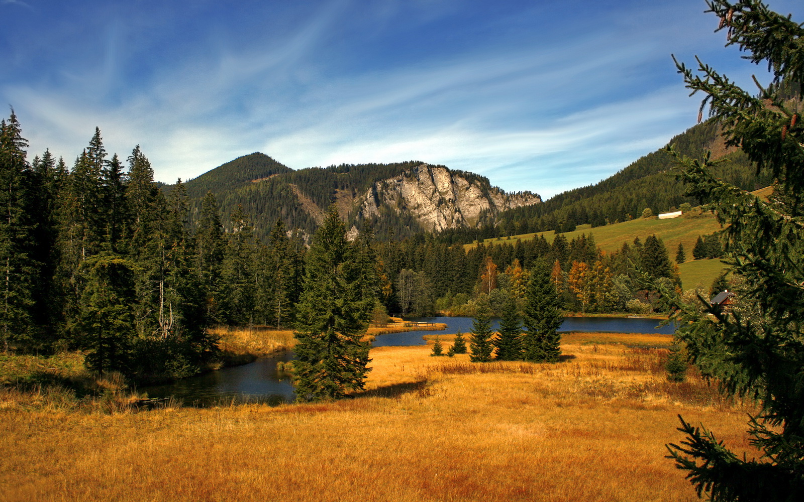 AYX GAME-逆转“奇迹夜”：像电影一样精彩的比赛瞬间，nba逆转奇迹