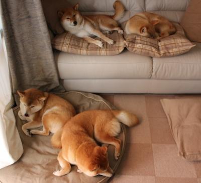 中国足球青训体系如何突破瓶颈，中国足球青训现状2020