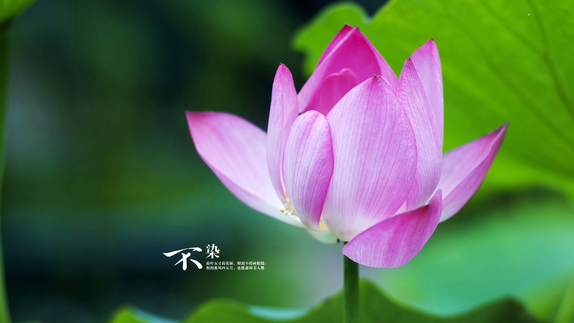 爱游戏中国官方网站平台-俄罗斯在对克威岛的比赛中大获全胜，俄罗斯vs克罗地亚预测