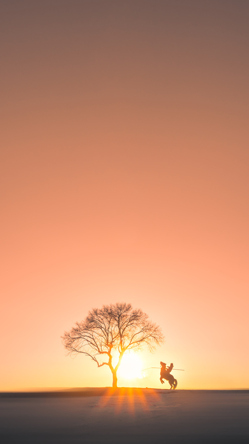 小牛被开拓者绝杀,唐西奇分上演空砍秀