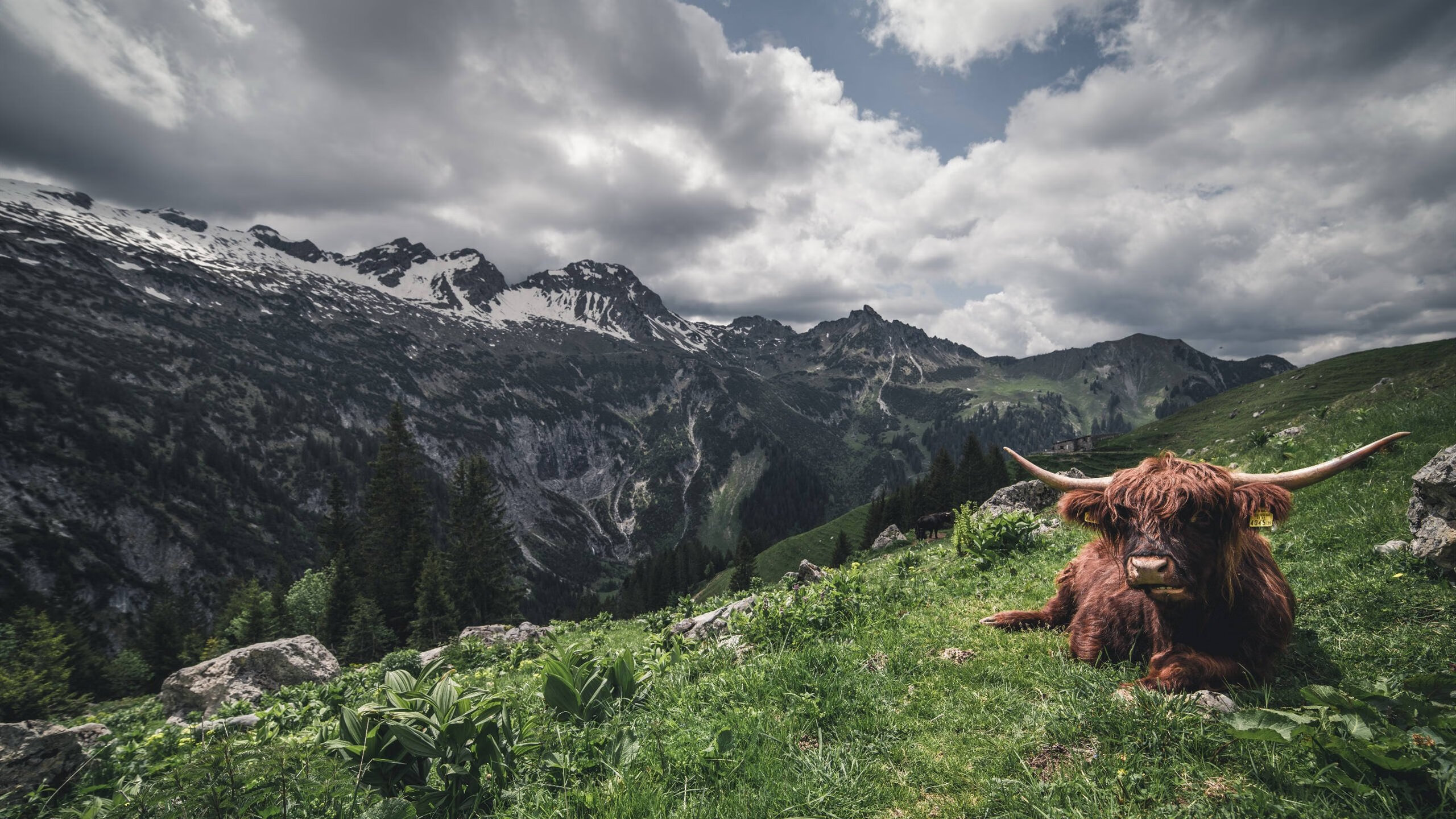欧国联赛事高潮迭起,国家队奋力冲刺欧锦赛,欧国联赛程2020赛程表比赛规则