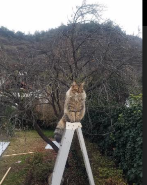 爱游戏平台-欧国联赛风云突变，球队战绩受关注，欧国联赛程2021分组