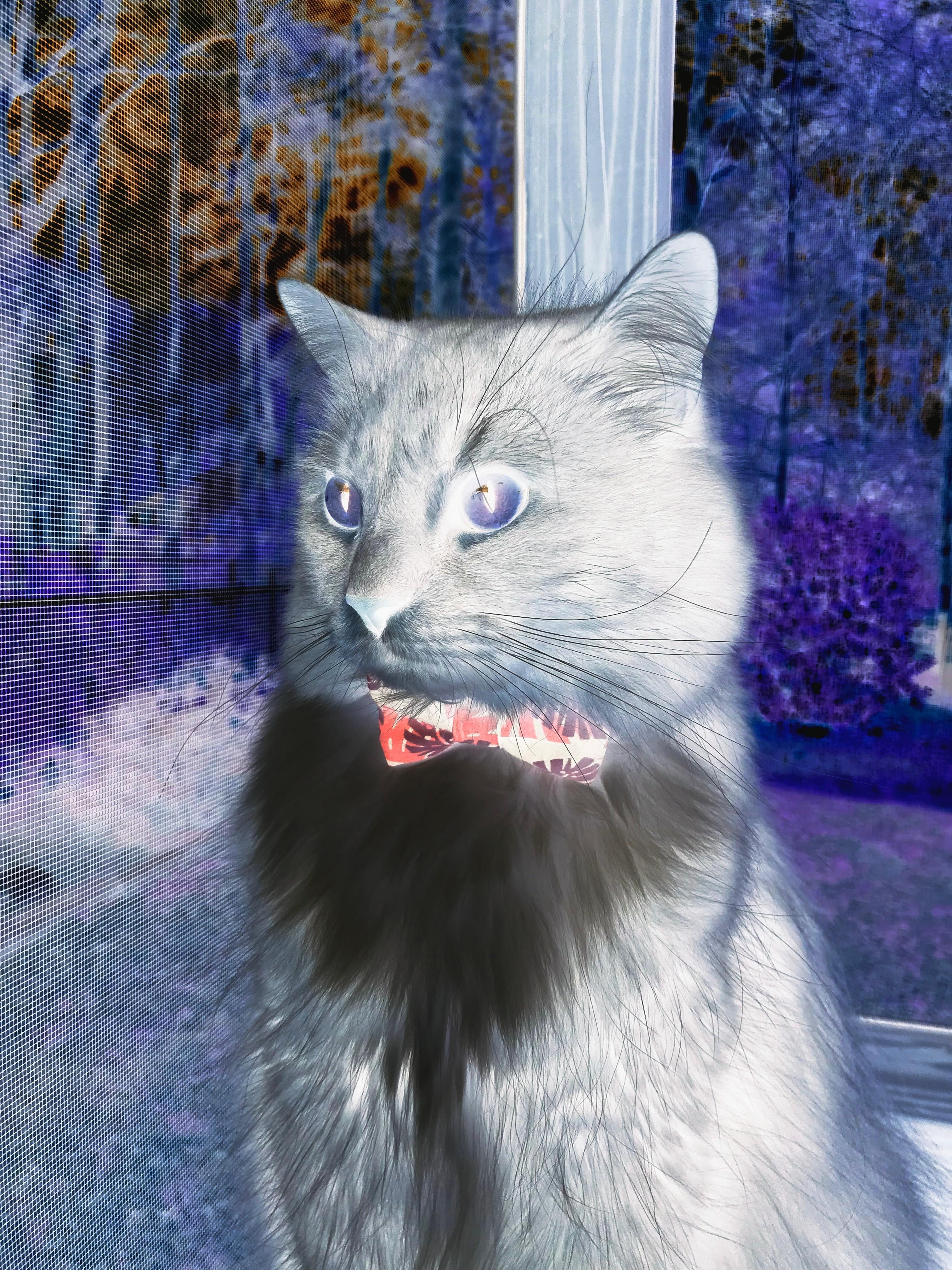 爱游戏娱乐网址-电竞城市激发本地年轻人电竞热情，各城市打造电竞