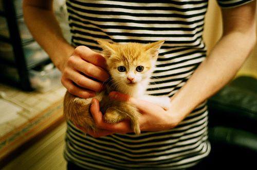 精彩CBA篮球赛即将打响，球迷热情加剧，cba 集锦