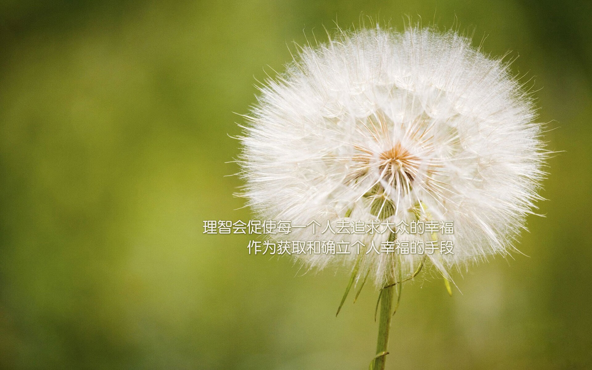 训练营成果是否影响赛季开局，训练营升级数据2020