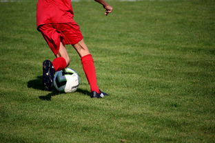 爱游戏官方网站-篮球运动员心理韧性培养及心理干预体系建设，篮球运动员心理素质的重要性