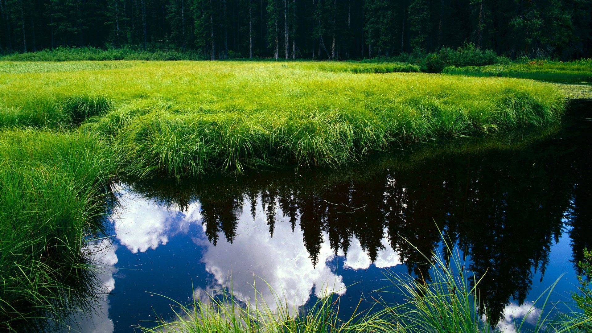 AYXSPORTSAPP-冰球俱乐部联赛发展势头强劲，冰球协会