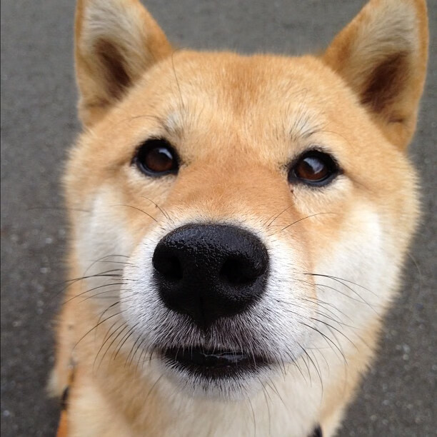 切尔西防线严密,封锁PSG锋线策略,slp切尔西